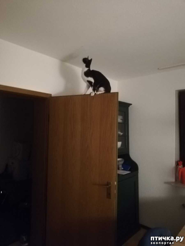 ���� 10: ������� ���� ����� � ����