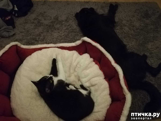 ���� 11: ������� ���� ����� � ����