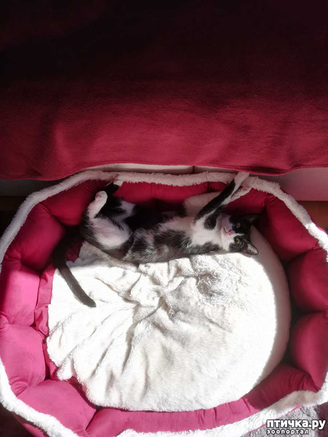 ���� 12: ������� ���� ����� � ����