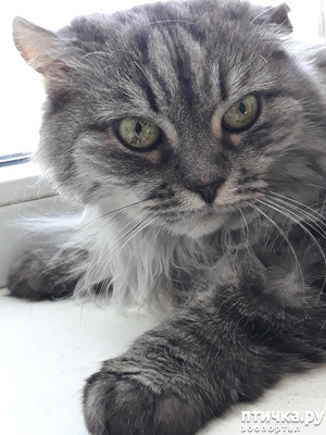 ����: � �������� ���� � �����