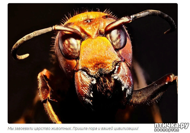 ���� 2: ������������ ������� � ����������� ����������. ������ - ������.