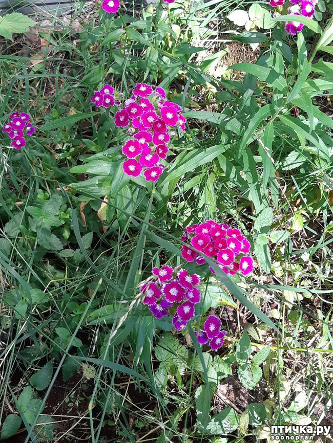 ���� 6: ������ ���� ��� ��� �������, �� �������, ����� 2