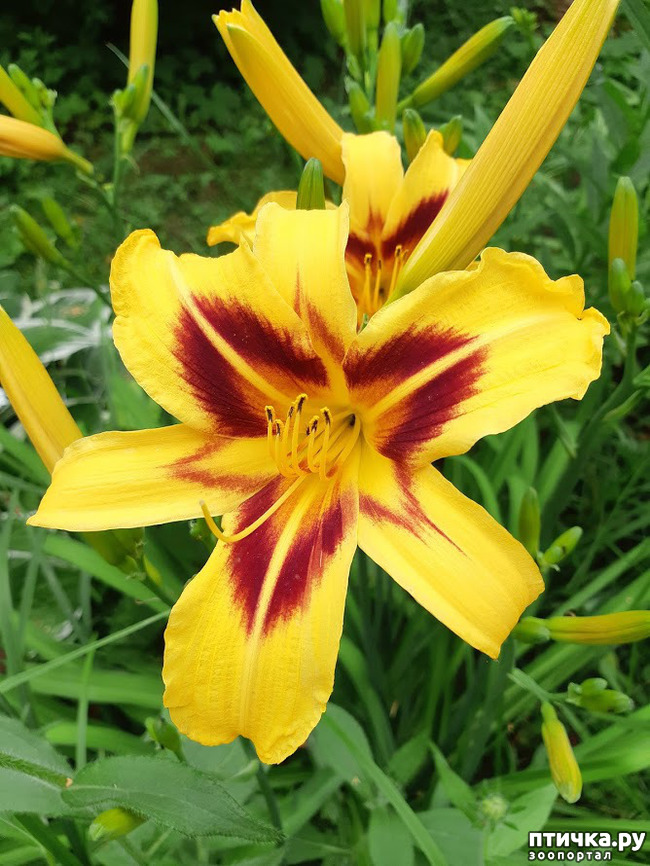 ���� 14: ������ ���� ��� ��� �������, �� �������, ����� 2