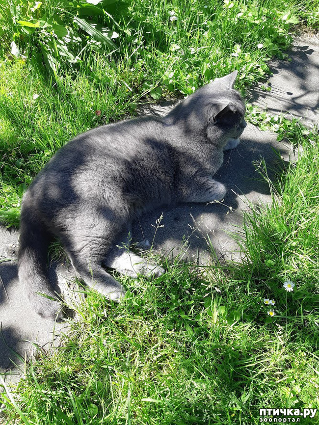 ���� 16: ������ ���� ��� ��� �������, �� �������, ����� 2