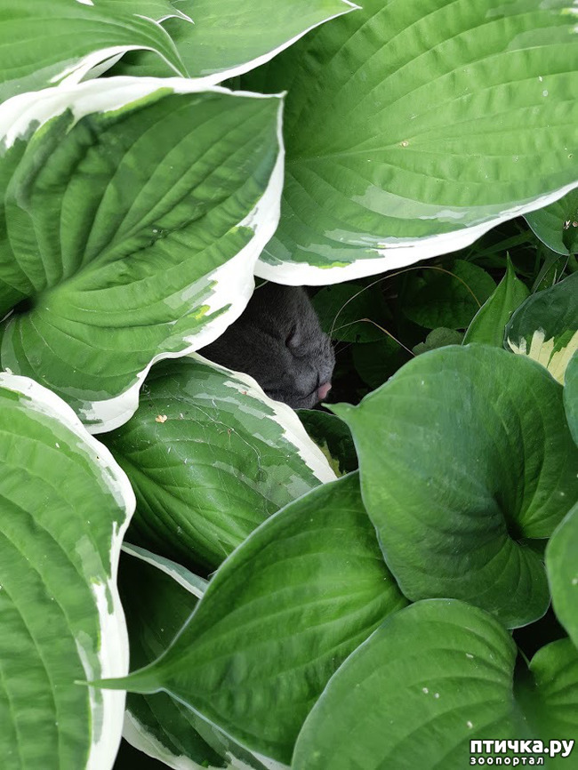 ���� 17: ������ ���� ��� ��� �������, �� �������, ����� 2