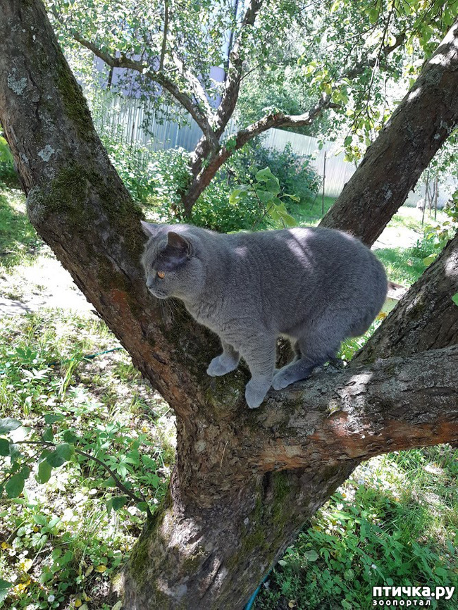 ���� 18: ������ ���� ��� ��� �������, �� �������, ����� 2