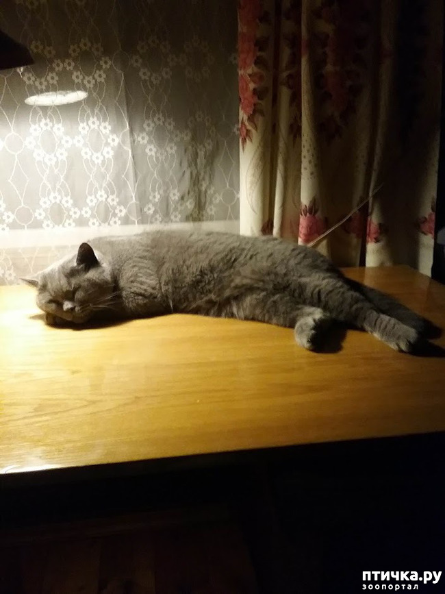 ���� 19: ������ ���� ��� ��� �������, �� �������, ����� 2