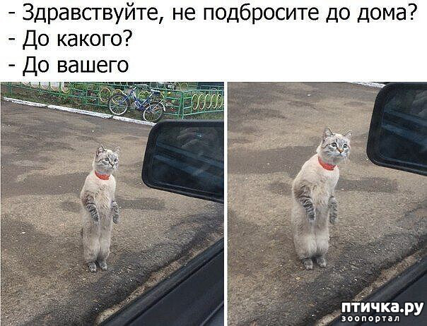 ���� 1: ��������