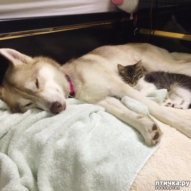 ���� 3: ����������� �� �������������. ���� � ������