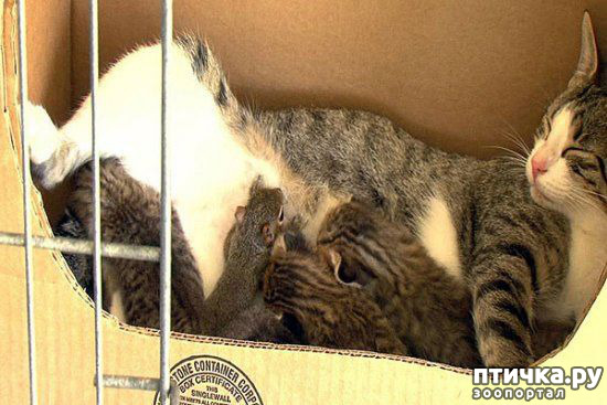 ���� 10: ����������� �� �������������. ���� � ������