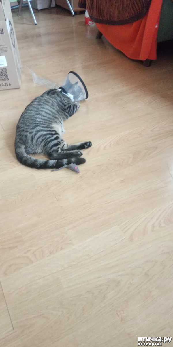 ���� 3: ������� �������� �����