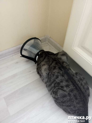 ����: ������� �������� �����