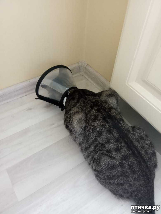 ���� 1: ������� �������� �����