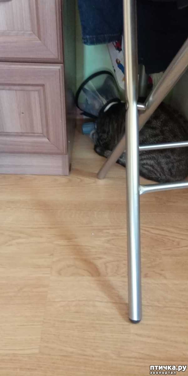 ���� 2: ������� �������� �����