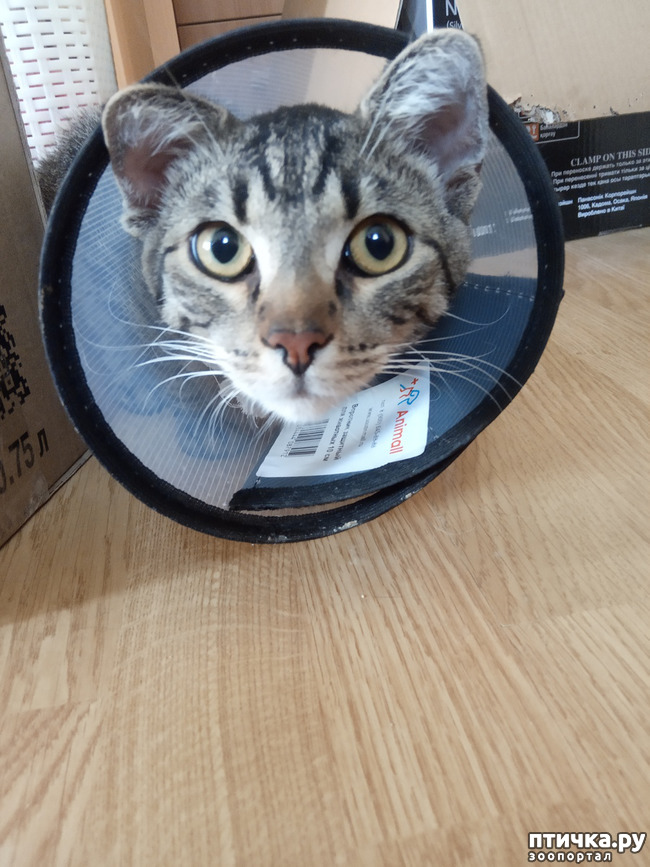 ���� 4: ������� �������� �����