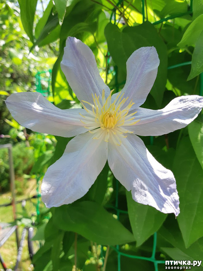 ���� 5: ������ ���� ��� ��� �������, �� �������, ����� 2