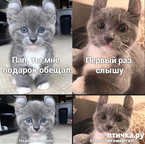 ����: ������� �����