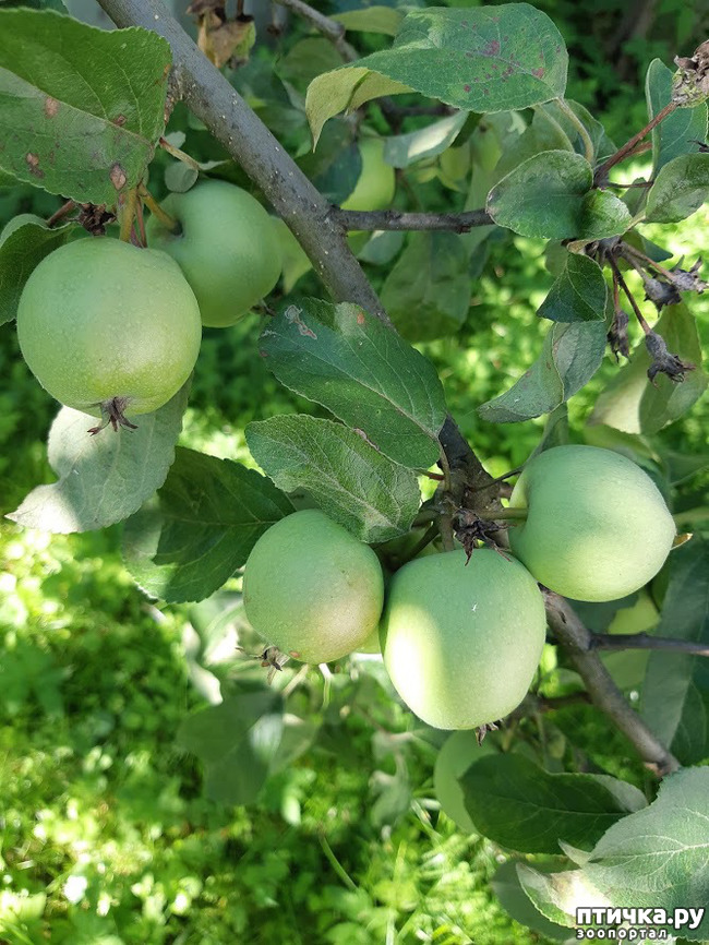 ���� 9: ������ ���� ��� ��� �������, �� �������, ����� 2