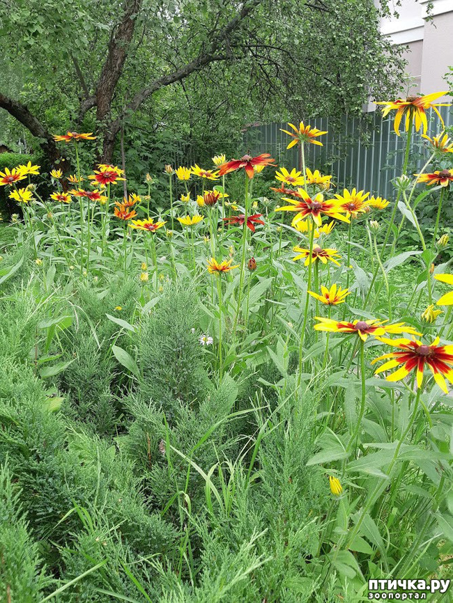 ���� 10: ������ ���� ��� ��� �������, �� �������, ����� 2