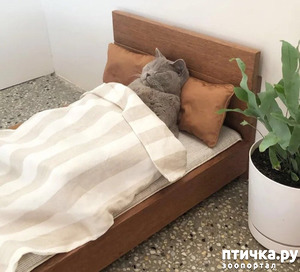 ����: �� ������, �� ���������, ��� �������� � ��� ������ �������� ������.