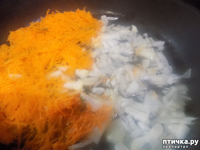 ���� 5: �������� � ���� ��������.