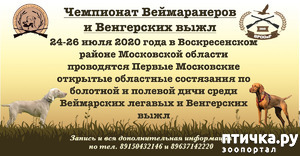 ����: ��������� ������������ � ����