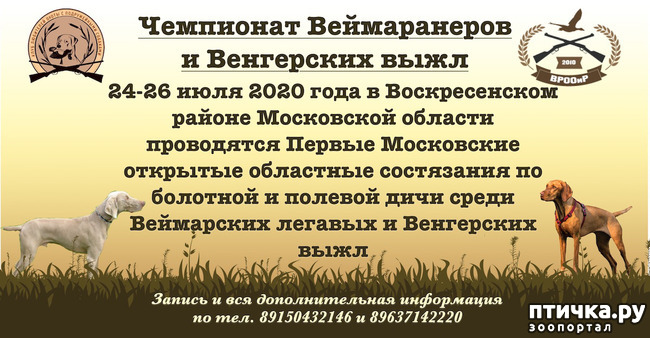 ���� 1: ��������� ������������ � ����