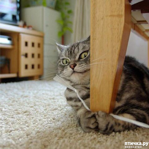 ���� 1: ��, ����� ������ ������� ������� ������ ��������.