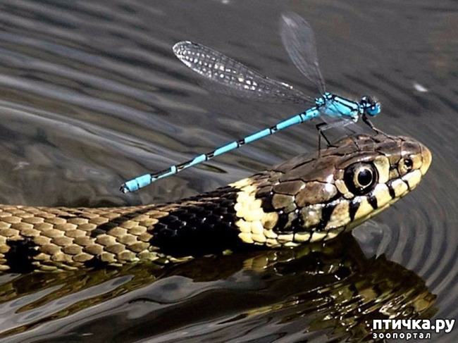 ���� 2: �� �������...