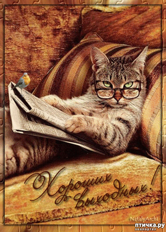 ���� 7: �� �������...