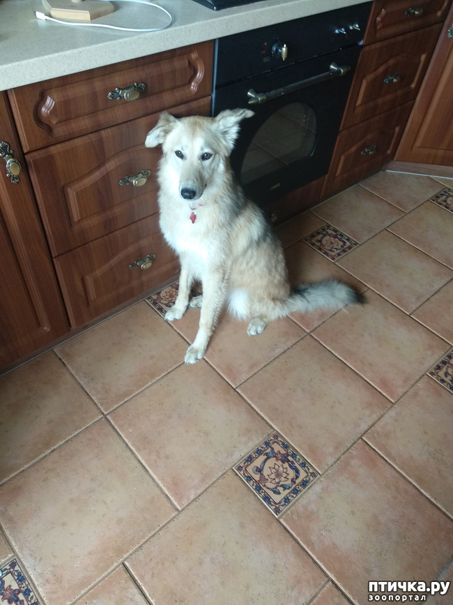 ���� 2: ��������� � ����������