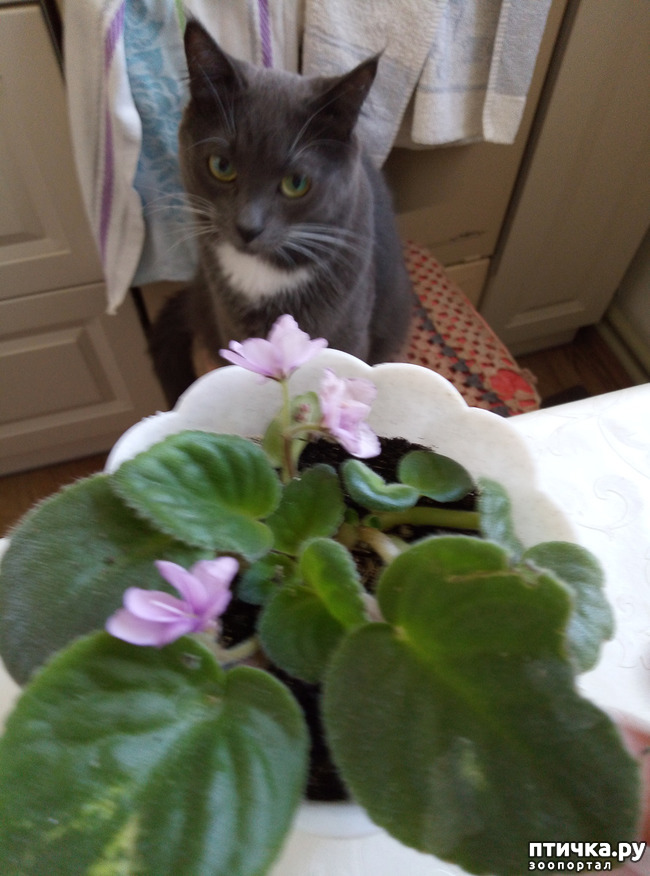 ���� 2: �� ����, ��� ����������