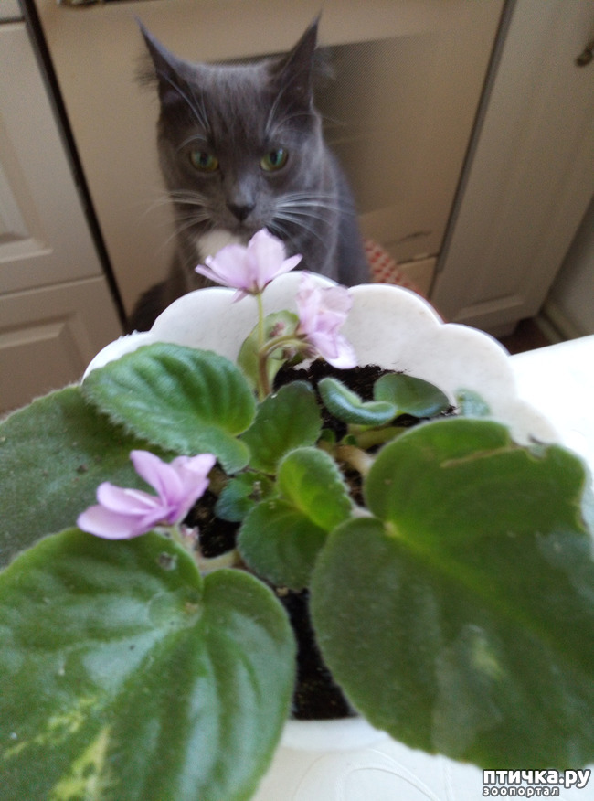 ���� 3: �� ����, ��� ����������