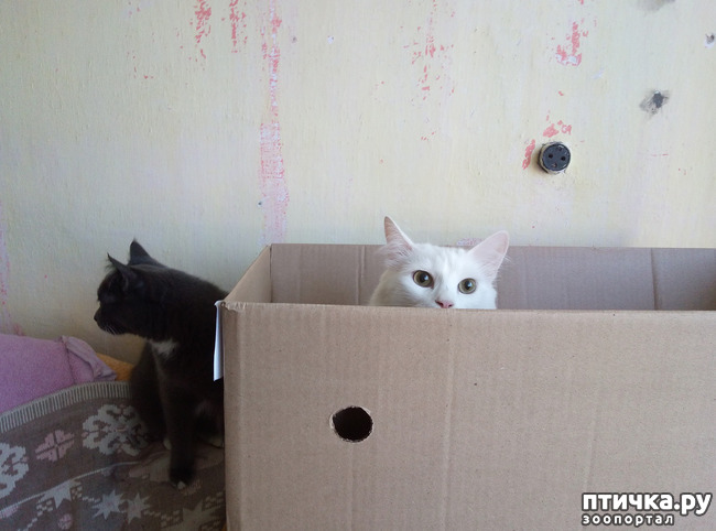 ���� 1: ���, ��� � ����������...?