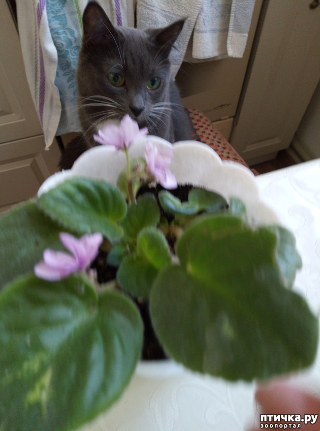 ���� 4: �� ����, ��� ����������