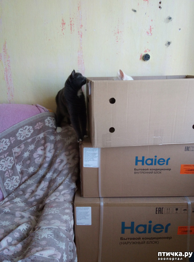 ���� 2: ���, ��� � ����������...?