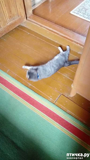 ����: ���� ���� �� ������ ����� �������