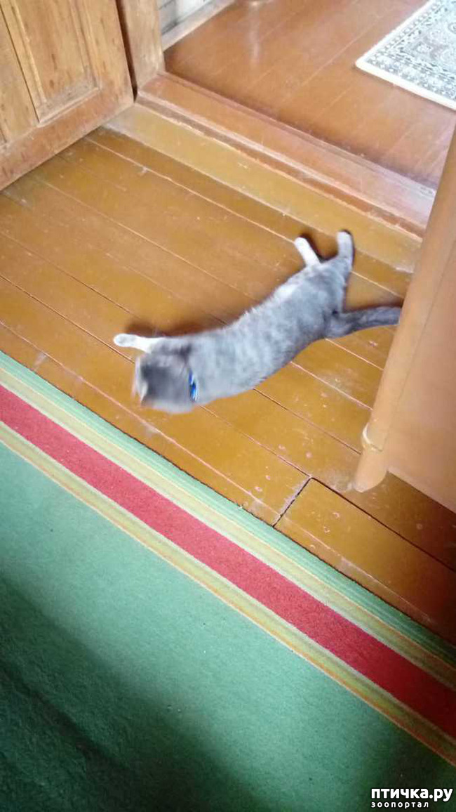 ���� 1: ���� ���� �� ������ ����� �������