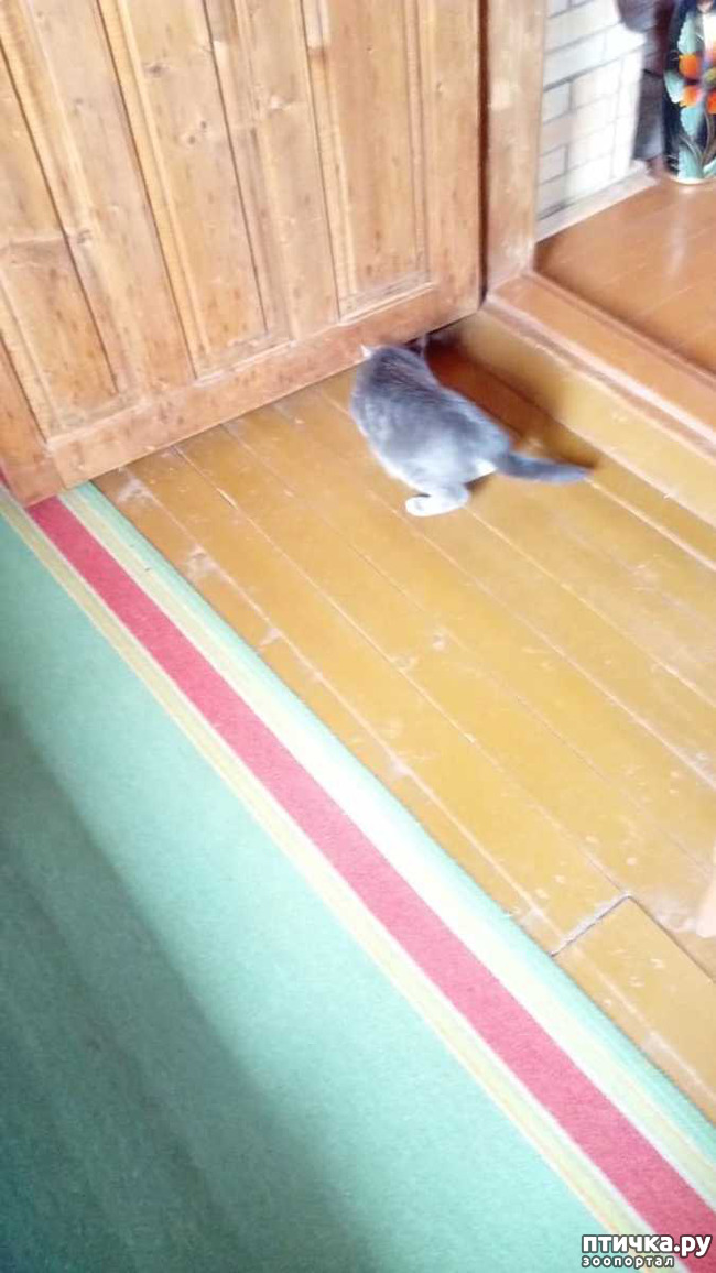 ���� 3: ���� ���� �� ������ ����� �������