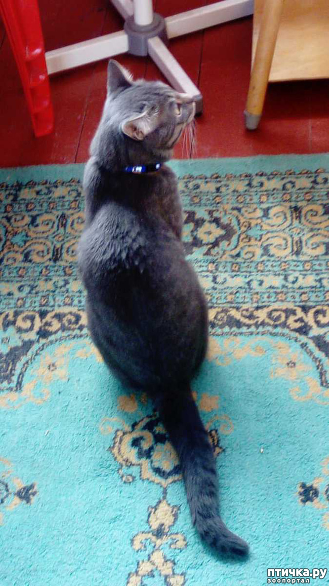 ���� 2: ���� ���� �� ������ ����� �������