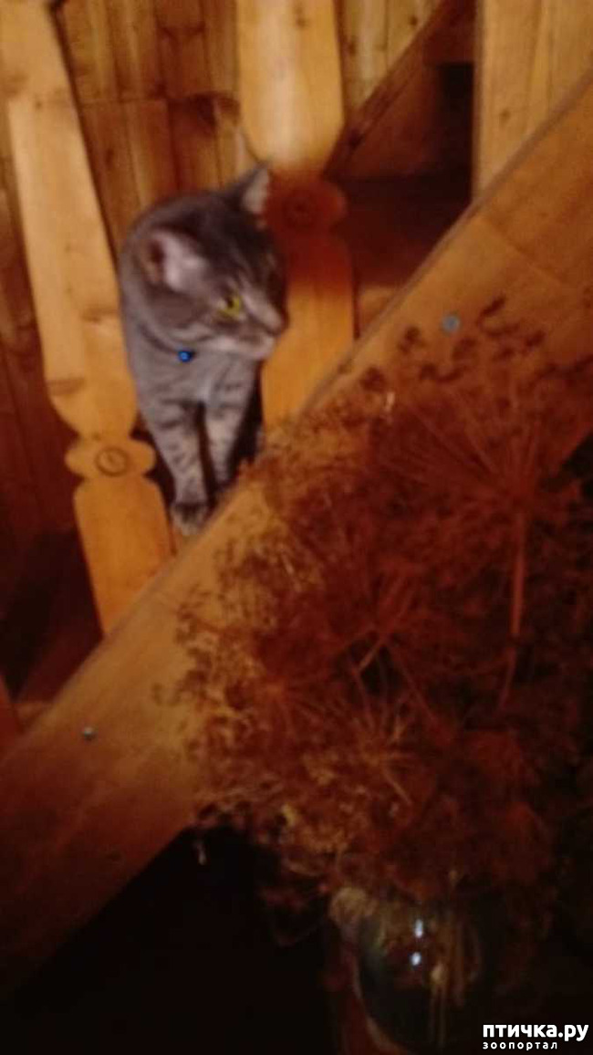 ���� 4: ���� ���� �� ������ ����� �������