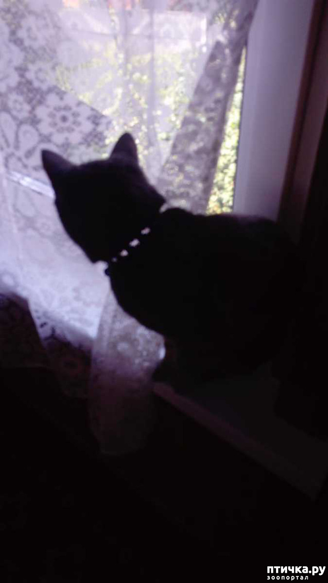 ���� 5: ���� ���� �� ������ ����� �������