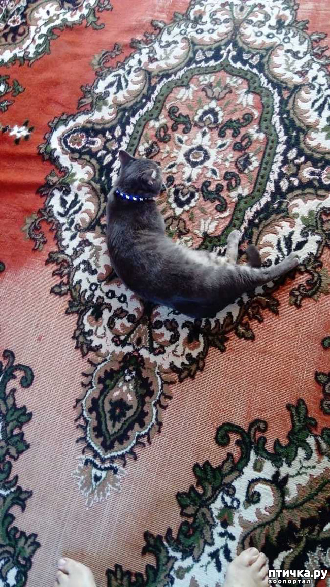 ���� 6: ���� ���� �� ������ ����� �������