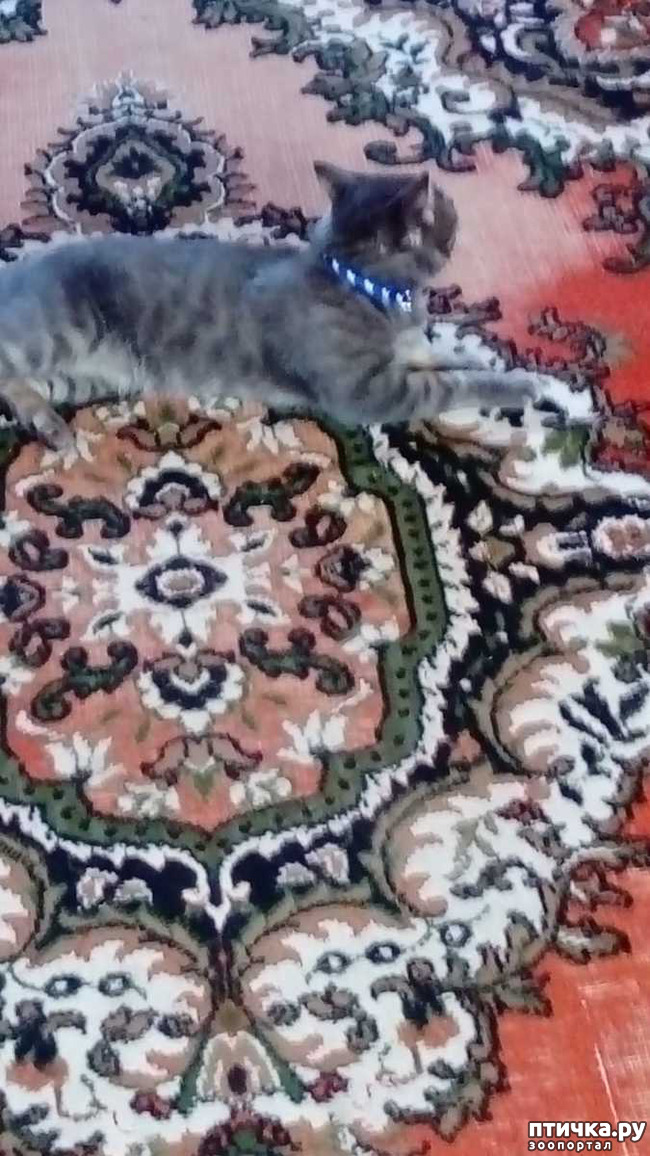 ���� 7: ���� ���� �� ������ ����� �������