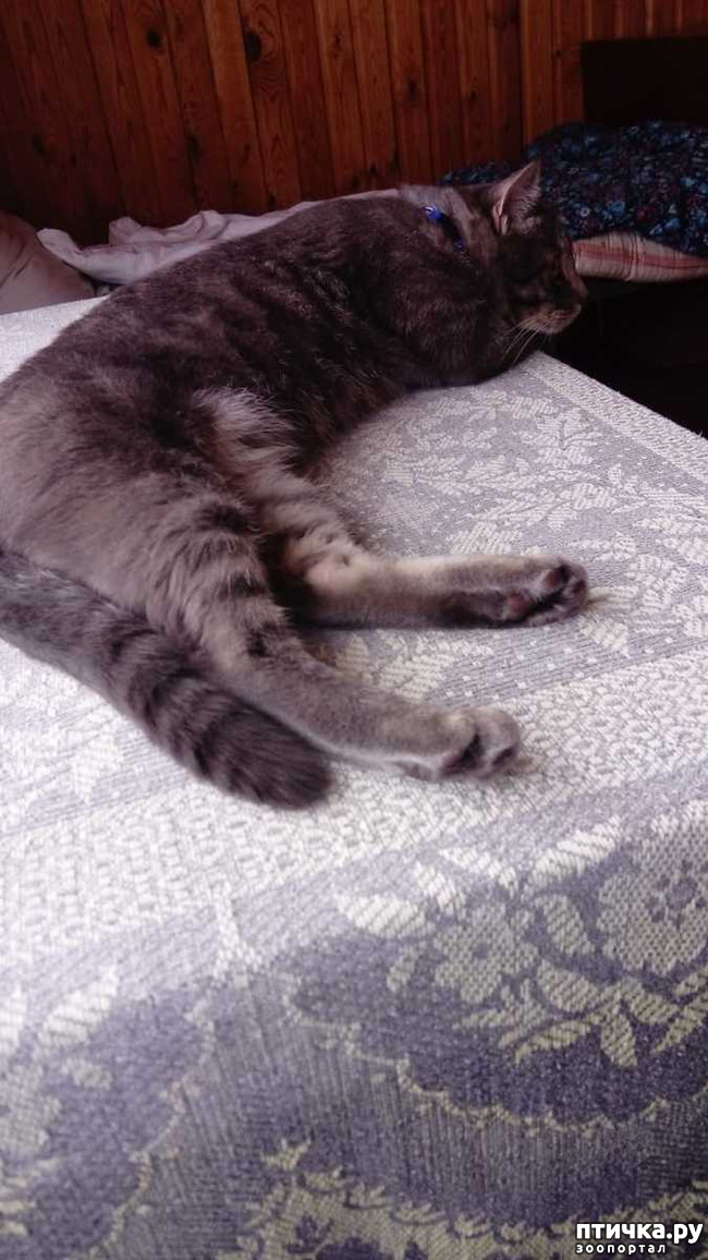 ���� 8: ���� ���� �� ������ ����� �������