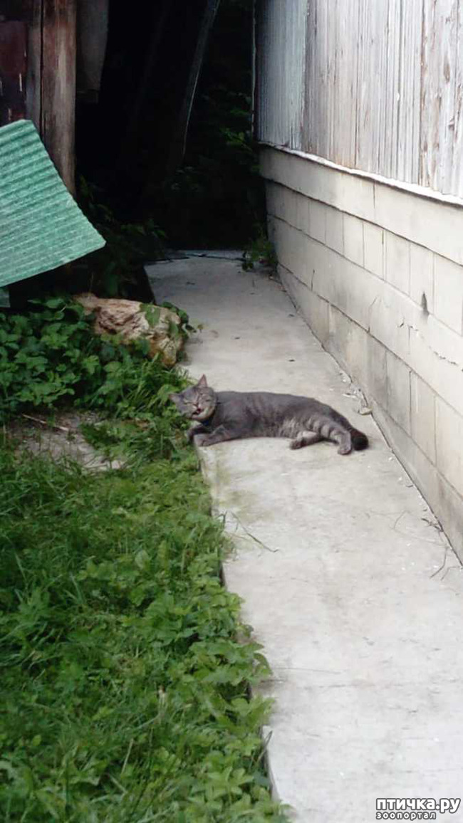 ���� 9: ���� ���� �� ������ ����� �������