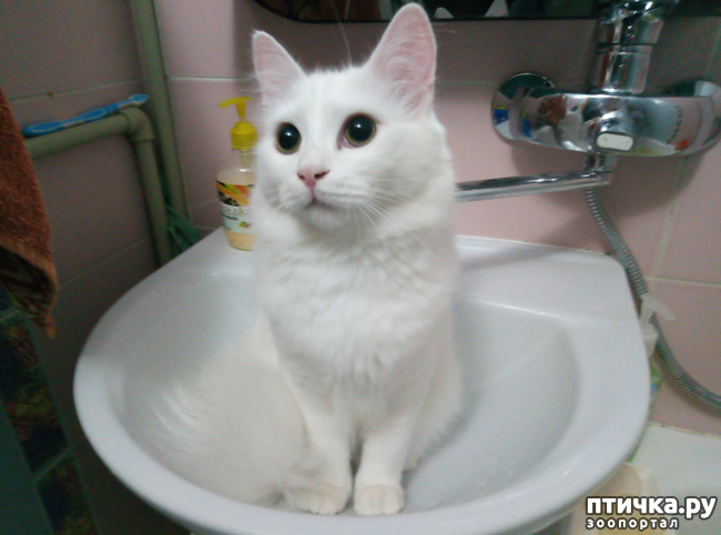 ���� 2: ���� � ����