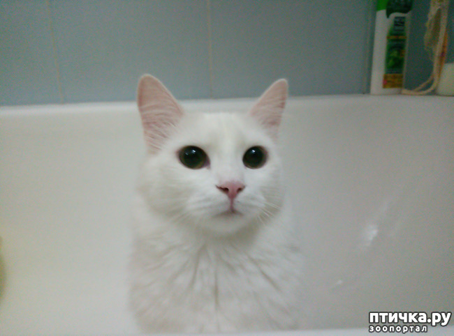 ���� 3: ���� � ����