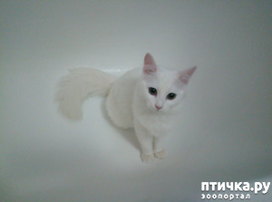 ����: ���� � ����