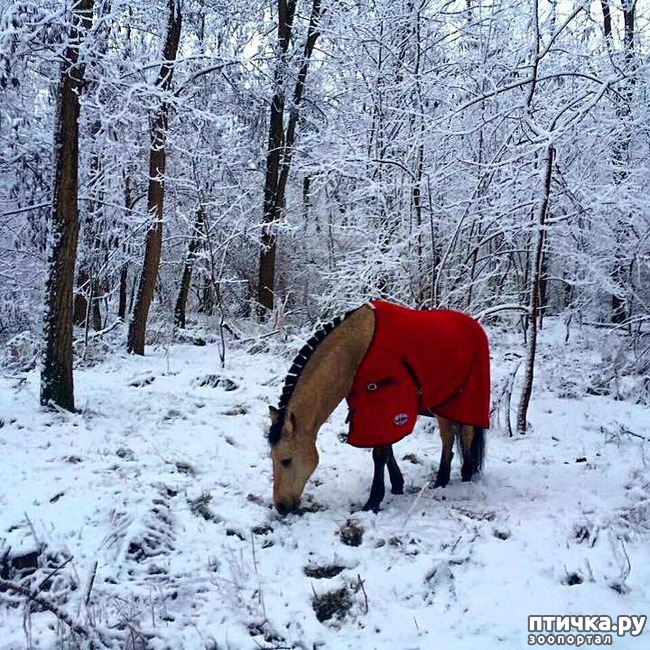 ���� 5: ����������� �� �������������. ���� � ������ �.2